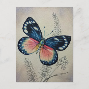 Vintage Butterfly No. 2 Watercolor Art Postcard