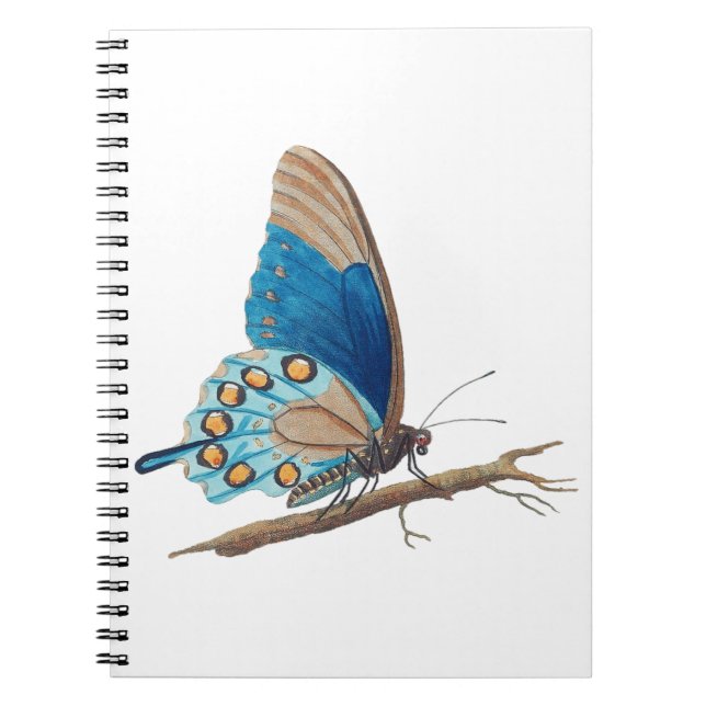 Vintage butterfly notebook (Front)