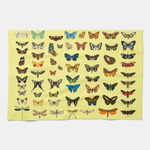 Vintage Butterfly Papillon Old Illustration Art Tea Towel