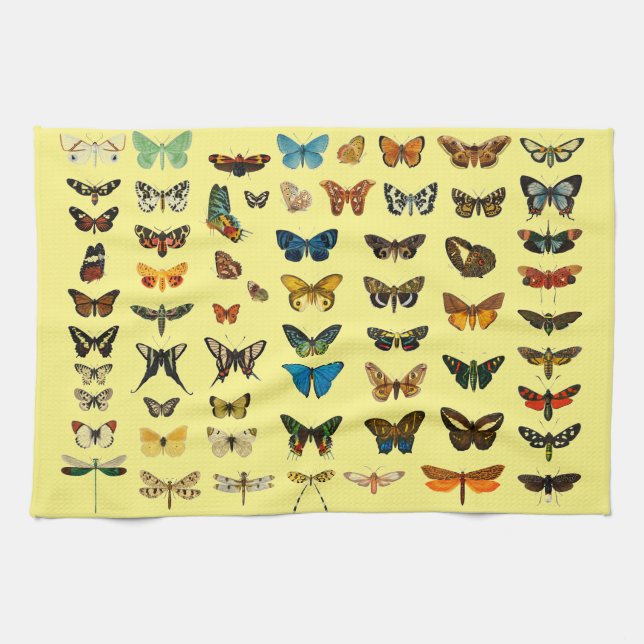 Vintage Butterfly Papillon Old Illustration Art Tea Towel (Horizontal)