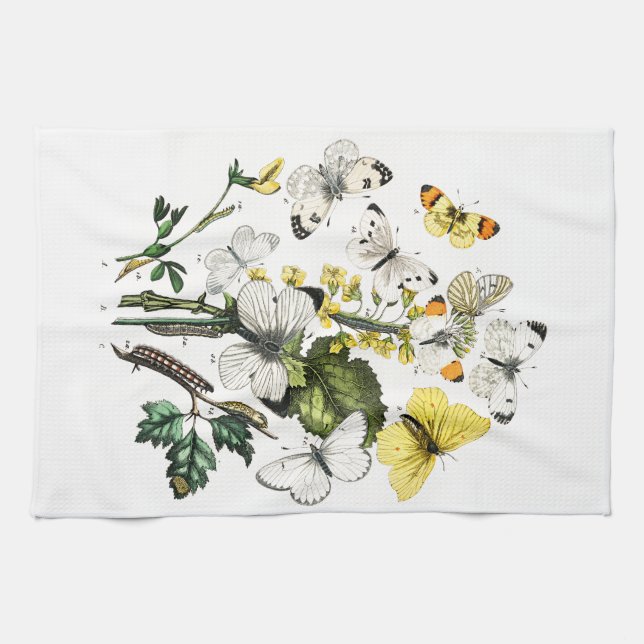 Vintage Butterfly Papillon Old Illustration Tea Towel (Horizontal)