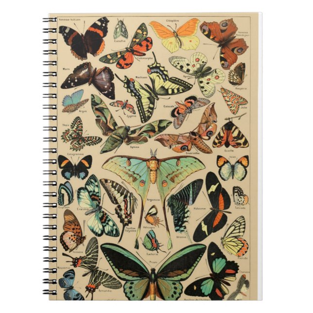 Vintage butterfly/papillons Notebook (Front)