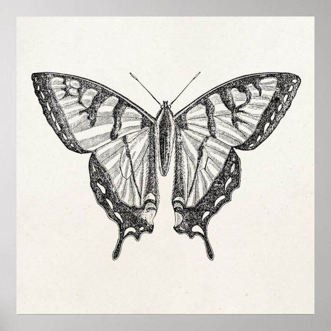 Vintage Butterfly Personalized Butterflies Insects Poster (Front)