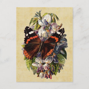 Vintage Butterfly Postcard