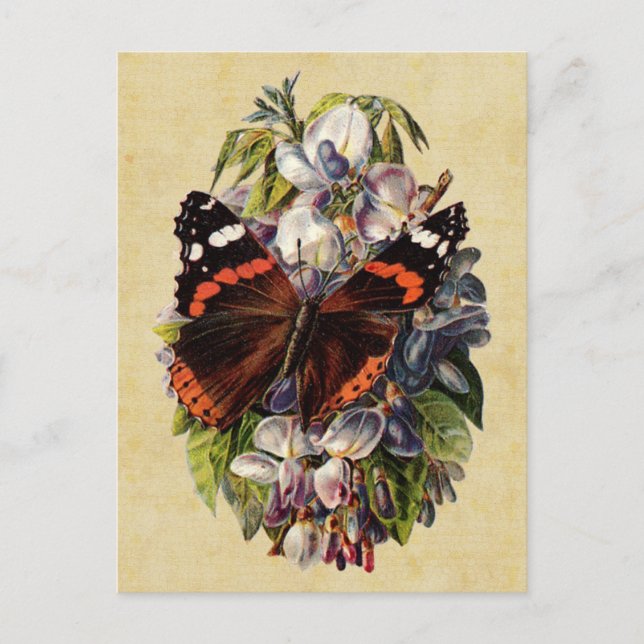 Vintage Butterfly Postcard (Front)