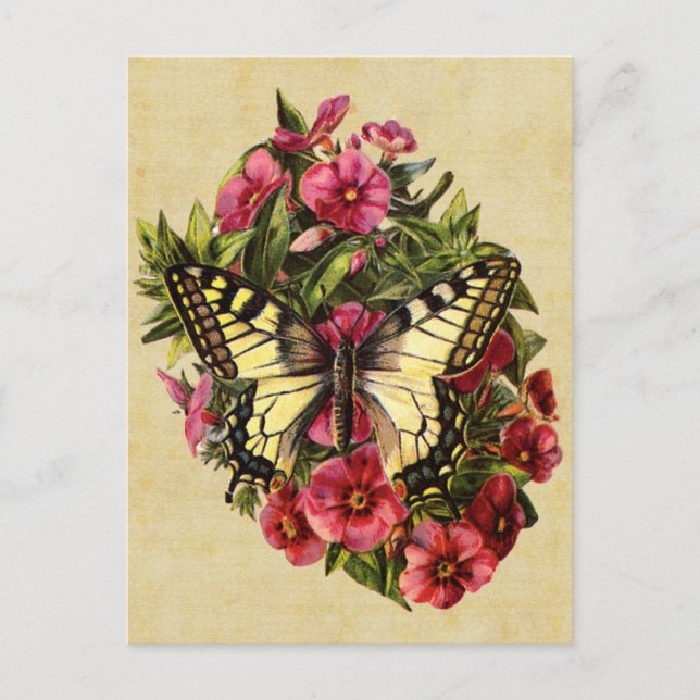 Vintage Butterfly Postcard (Front)