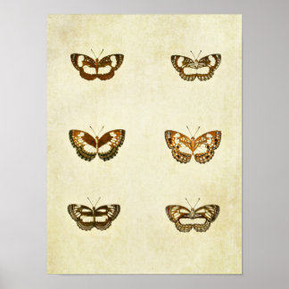 Vintage Butterfly Print 327