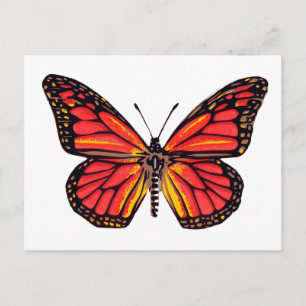 Vintage Butterfly Print Postcard