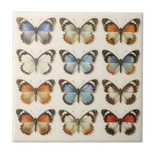 Vintage Butterfly Specimen Collection Tile