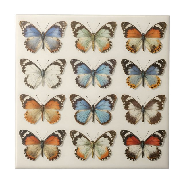 Vintage Butterfly Specimen Collection Tile (Front)