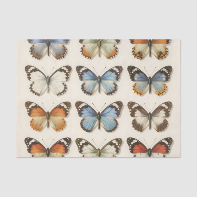 Vintage Butterfly Specimen Collection Tissue Paper (Front)