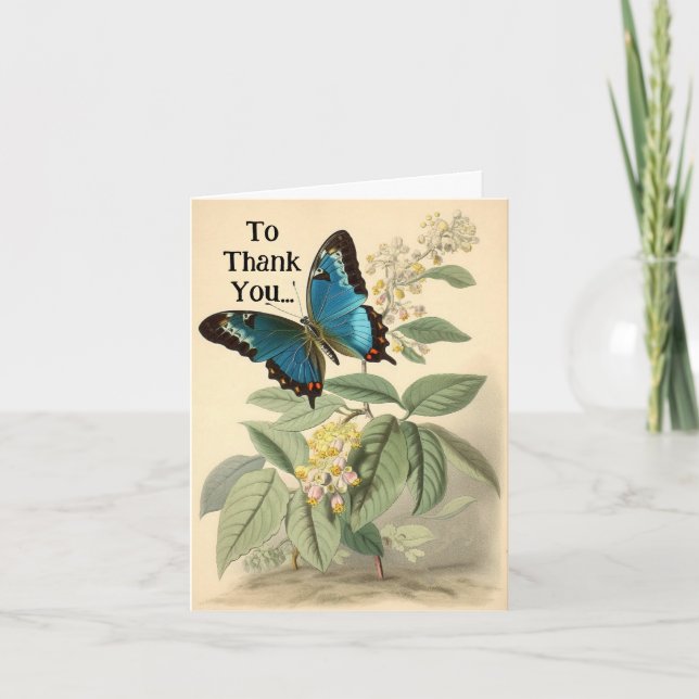 Vintage Butterfly Thank-you Card (Front)