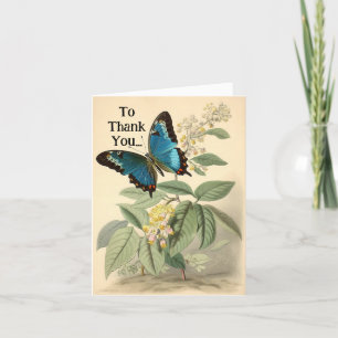 Vintage Butterfly Thank-you Card