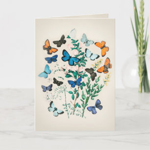Vintage Butterfly Watercolor Card