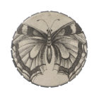 Vintage Butterfly Wings Nature Collection Box