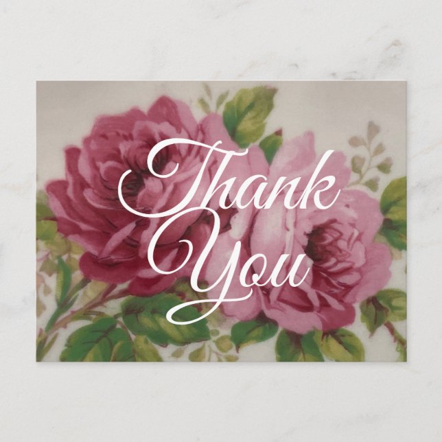 Vintage Cabbage Rose Elegance Postcard (Front)