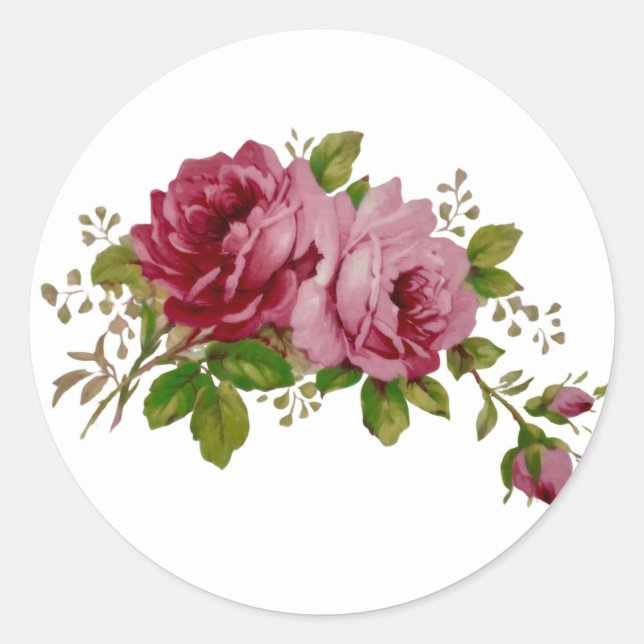 Vintage Cabbage Rose Elegance Sticker (Front)