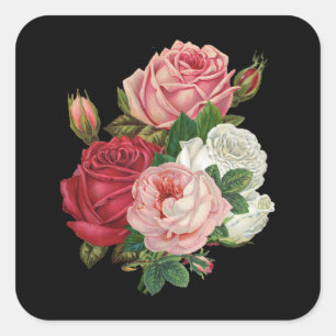 Vintage Cabbage Roses-Black Background Square Sticker