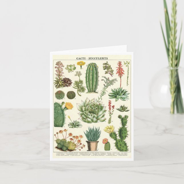 Vintage Cacti and Succulents Botanical Note Card (Front)