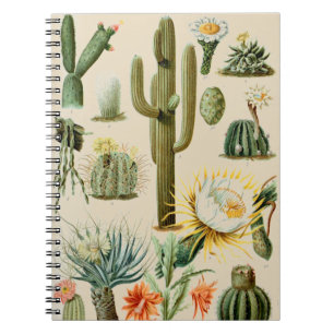 Vintage Cactus   Spiral Notebook