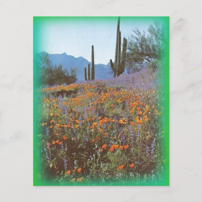 Vintage Cactus Stationary (Front)