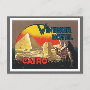 Vintage Cairo Egypt Postcard