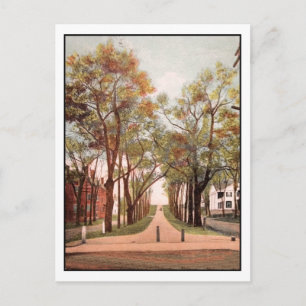 Vintage Calais Avenue, Calais, ME Postcard