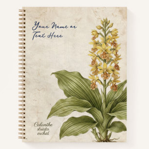 Vintage Calanthe Striata Botanical Fraud Notebook