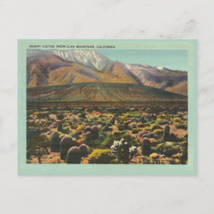 Vintage California desert and mountains scene Postcard