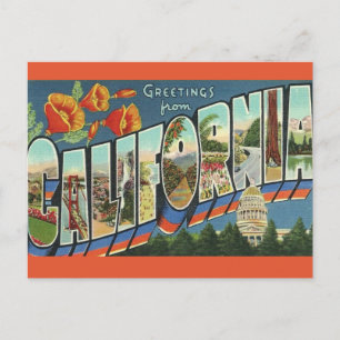 Vintage California Greeting Postcard