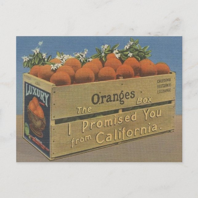Vintage California Oranges Post Card (Front)