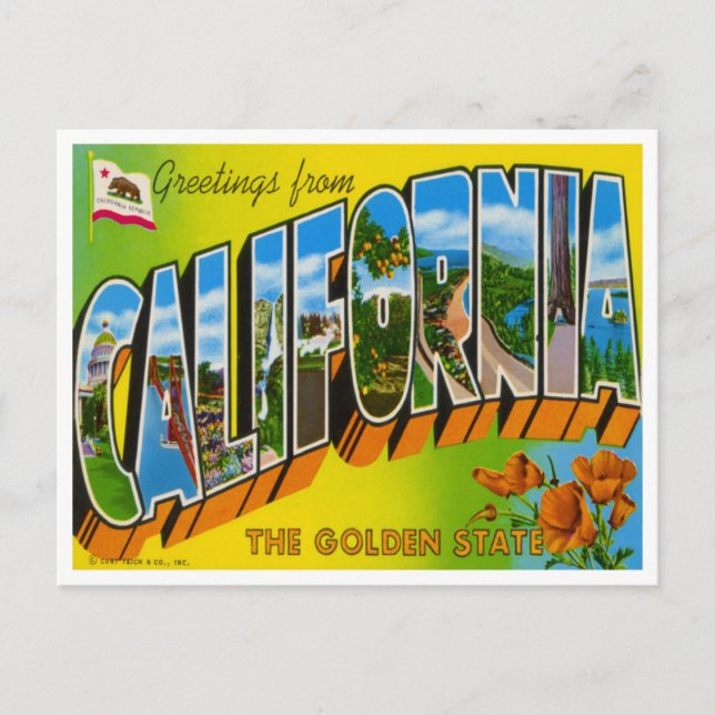Vintage California Postcard (Front)