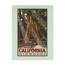 Vintage California Redwoods Travel