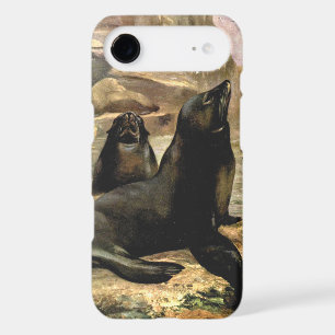 Vintage California Sea Lions by CE Swan