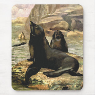 Vintage California Sea Lions by CE Swan Mouse Mat