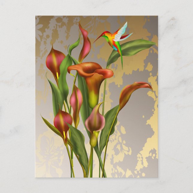 Vintage Calla Lilies and Hummingbird Postcard (Front)