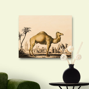 Vintage Camel by D'Orbigny Wood Wall Art