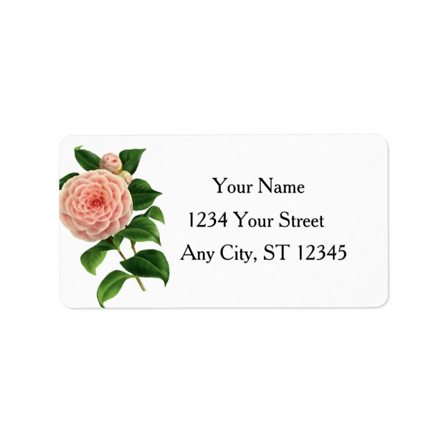 Vintage Camellia Botanical Label (Front)