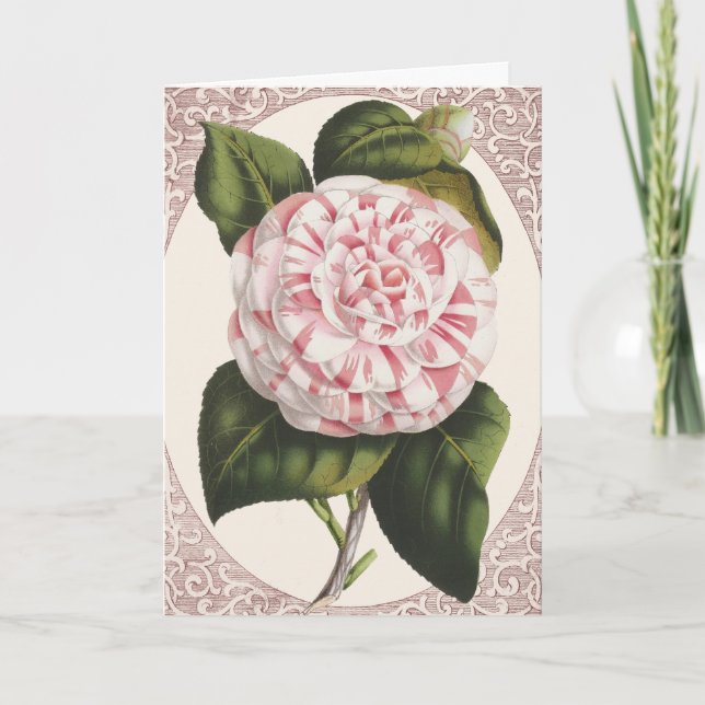 Vintage Camellia Elegant Thank You (Front)