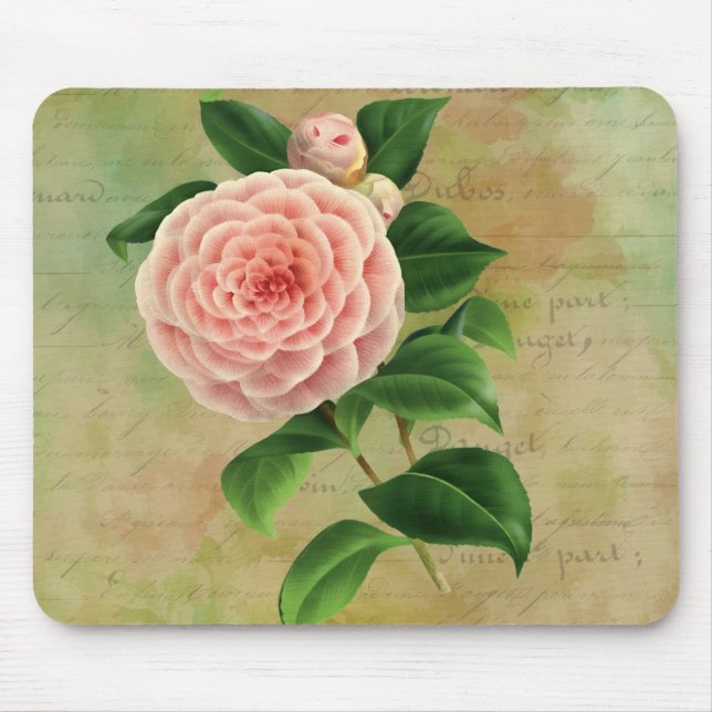Vintage Camellia French Botanical Mouse Mat (Front)