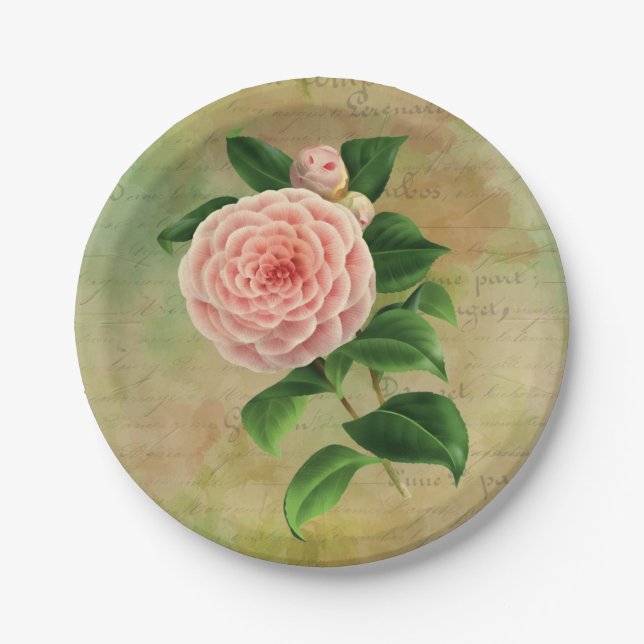 Vintage Camellia French Botanical Paper Plate (Front)