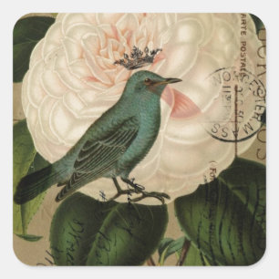Vintage camellia teal Bird french botanical Square Sticker