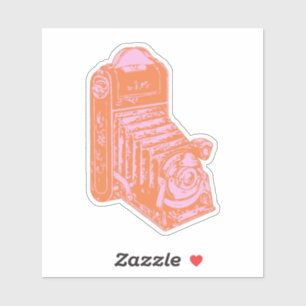 Vintage Camera Artwork in Orange and Pink