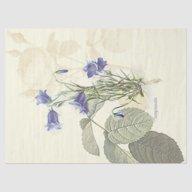 Vintage Campanula Tissue Paper (Front)