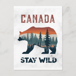 Vintage Canada Bear Stay Wild Travel Postcard