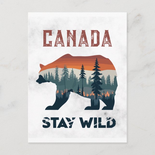 Vintage Canada Bear Stay Wild Travel Postcard (Front)