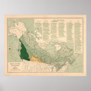 Vintage Canada Forests Map (1906) Poster