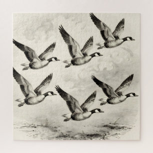 Vintage Canada Geese in Flight Engraving Jigsaw Puzzle