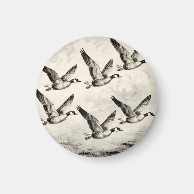 Vintage Canada Geese in Flight Engraving Magnet (Front)