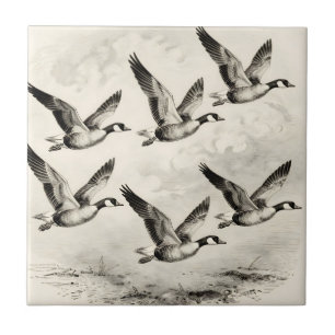 Vintage Canada Geese in Flight Engraving Tile